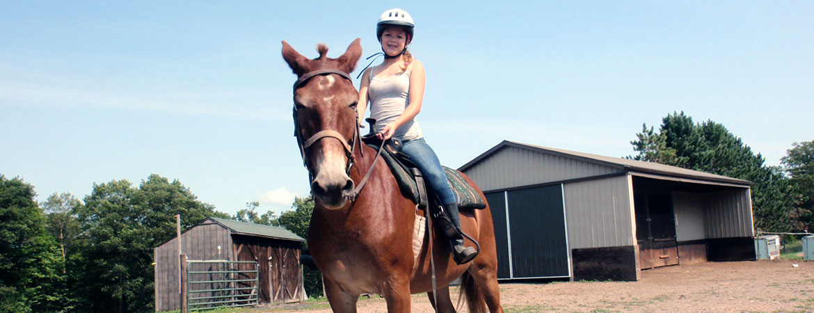 Rolling Hills Arabian Horses and Farm Tours